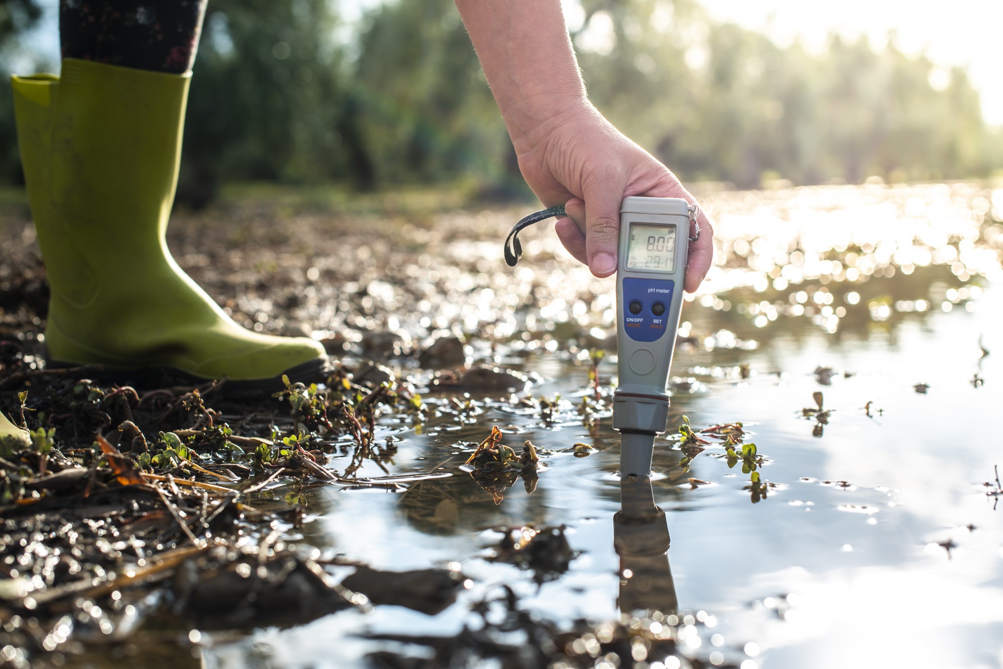 Measure water content with digital device. PH meter.